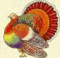 t-dayturkeybutton.jpg